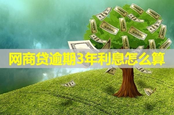 網(wǎng)商貸逾期3年利息怎么算？詳細(xì)解析