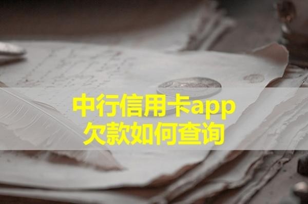 中行信用卡app欠款如何查詢？詳細(xì)內(nèi)容