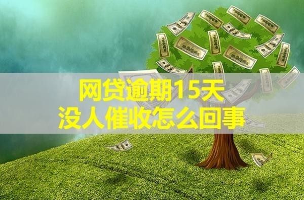 網(wǎng)貸逾期15天沒人催收怎么回事？有這些因素