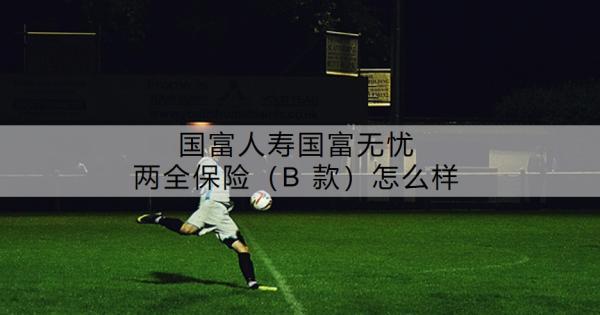 國(guó)富人壽國(guó)富無(wú)憂兩全保險(xiǎn)（B 款）怎么樣？值不值得買呢？