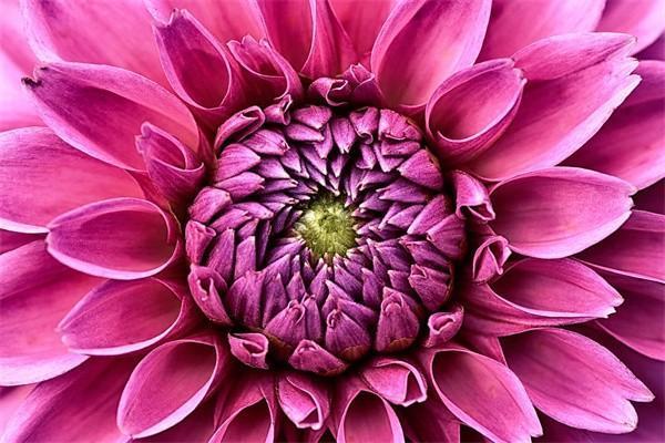 工齡39年跟40年的區(qū)別是什么啊？附帶計(jì)算公式！