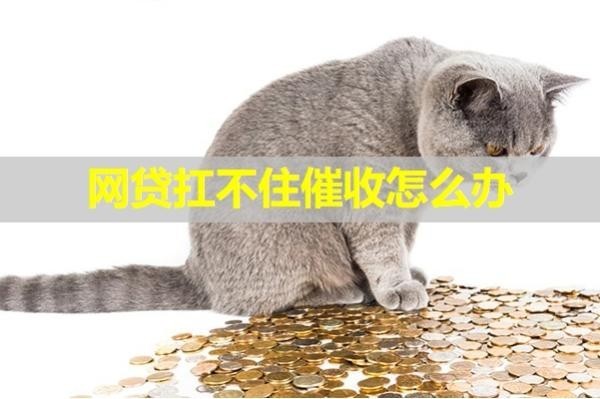 網(wǎng)貸扛不住催收怎么辦？試試這樣做