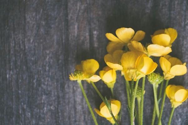 平安一生保退保能退錢嗎？如何辦理平安一生保退保啊？