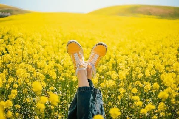 泰康歲月有約養(yǎng)老年金保險怎么樣？適合誰買??？