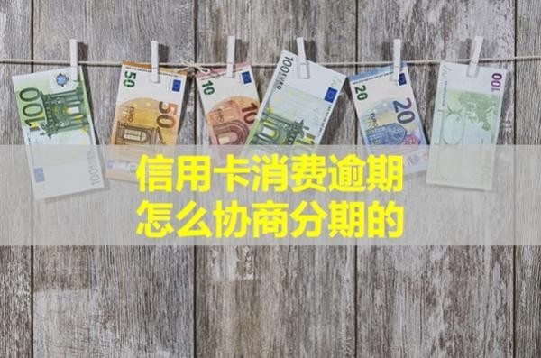 信用卡消費(fèi)逾期怎么協(xié)商分期的？詳細(xì)步驟
