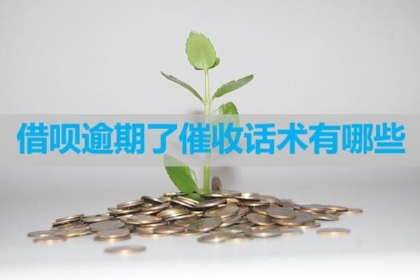 借唄逾期了催收話術有哪些？不看后悔
