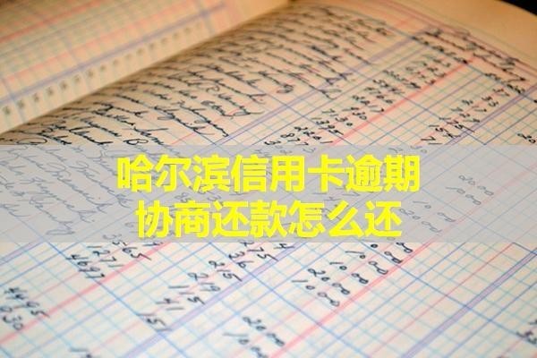 哈爾濱信用卡逾期協(xié)商還款怎么還