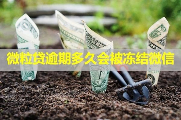 微粒貸逾期多久會被凍結(jié)微信？這個時間要注意