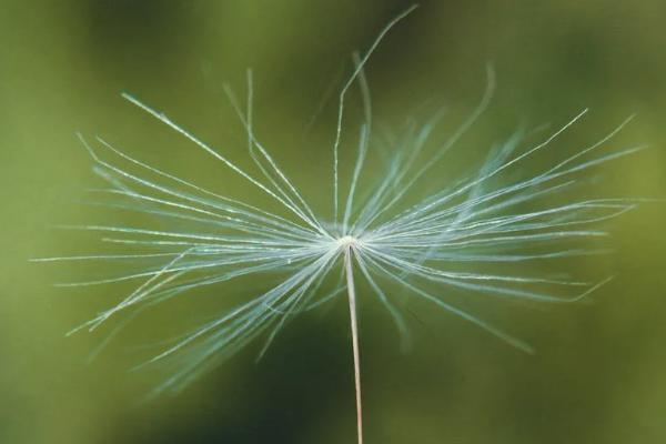 保險公司退保可以退現(xiàn)金嗎,銀行卡不能用了？怎么退劃算？