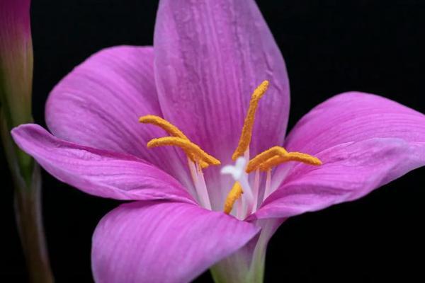開(kāi)門(mén)紅退保很多為什么？退保需要多久時(shí)間？