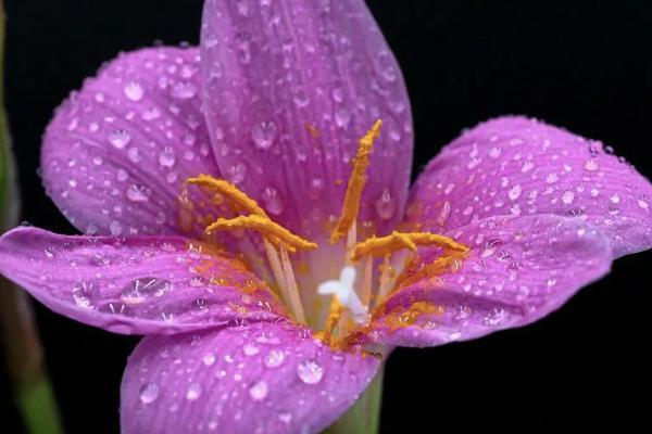 農(nóng)銀人壽保險猶豫期退保到賬時間要多久？退保怎么能減少損失？