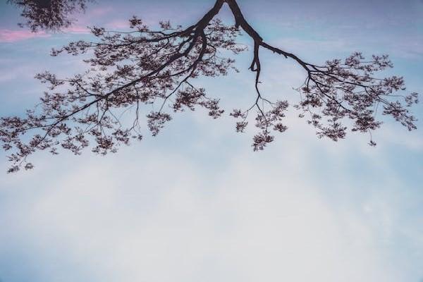 中國人壽能退保嗎現(xiàn)在？如何實(shí)現(xiàn)中國人壽保險全額退保??？