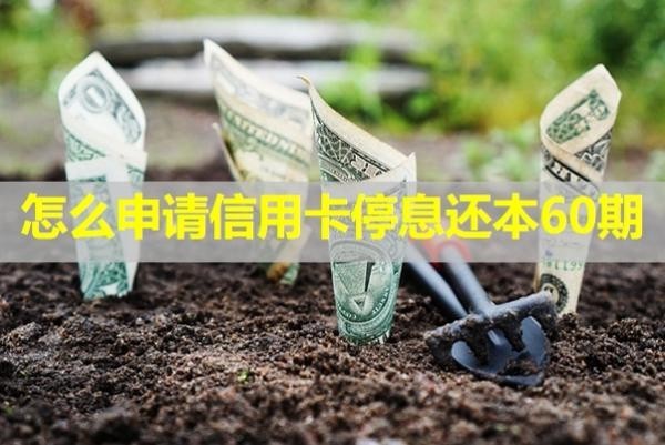 怎么申請信用卡停息還本60期？詳細(xì)分析