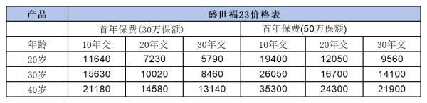 中國平安重大疾病保險