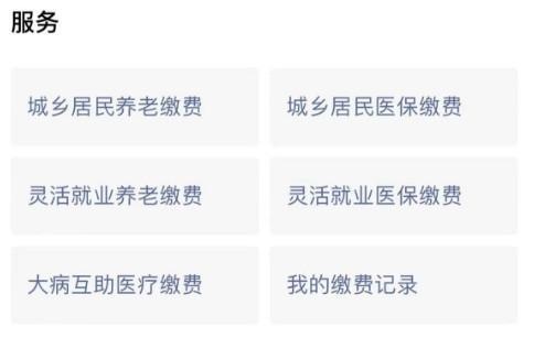 養(yǎng)老保險網(wǎng)上繳費