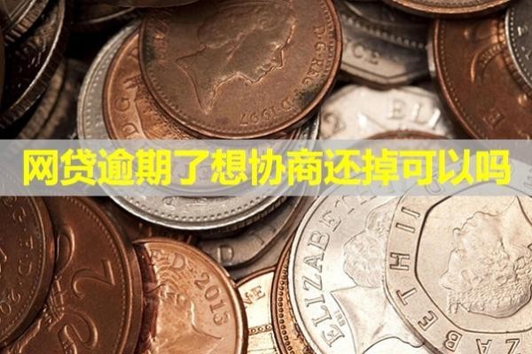 網(wǎng)貸逾期了想?yún)f(xié)商還掉可以嗎？具體情況。
