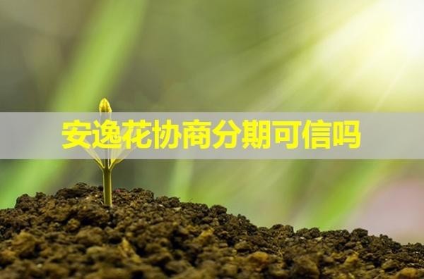 安逸花協(xié)商分期可信嗎？必看此篇
