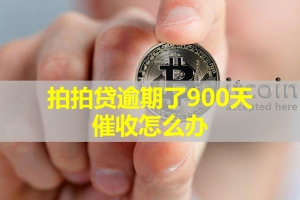 拍拍貸逾期了900天催收怎么辦？保姆級(jí)流程