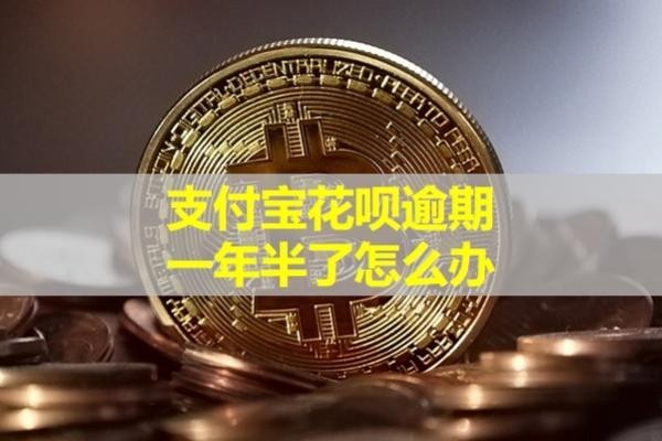 支付寶花唄逾期一年半了怎么辦？試試這樣處理