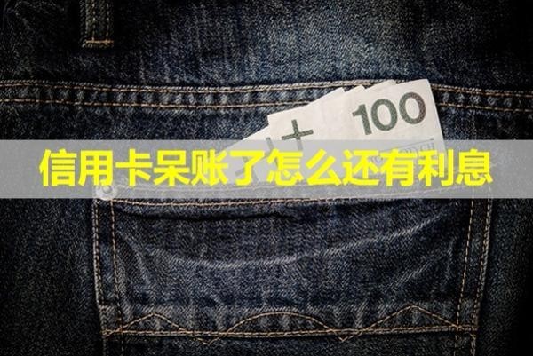 信用卡呆賬了怎么還有利息？看完就懂啦！