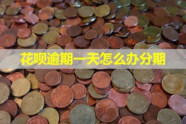 花唄逾期一天怎么辦分期？詳細(xì)分析