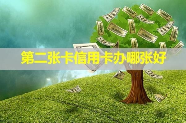 第二張卡信用卡辦哪張好？具體分析