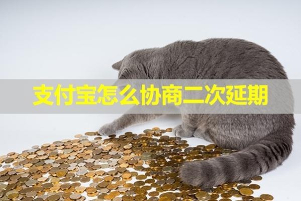 支付寶怎么協(xié)商二次延期？詳細流程