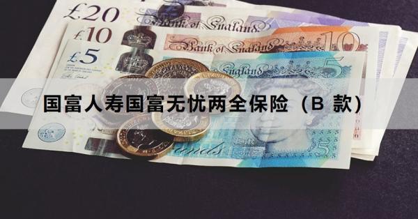 國富人壽國富無憂兩全保險(xiǎn)（B 款）產(chǎn)品介紹，基本信息+產(chǎn)品特色