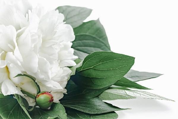新生兒商業(yè)保險怎么買合適？一年多少錢?。?>
                                            </div>
                                        </a>
                                        <h2 class=