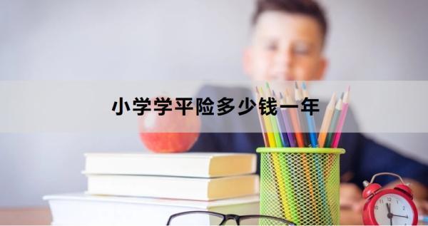 小學(xué)學(xué)平險(xiǎn)多少錢一年？怎么買？