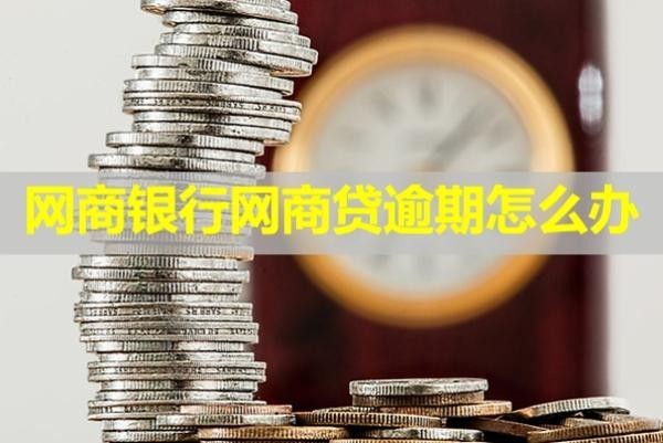 網(wǎng)商銀行網(wǎng)商貸逾期怎么辦？試試這幾種方式