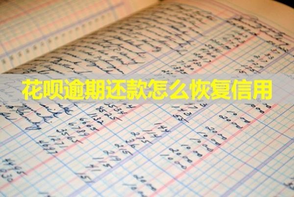 花唄逾期還款怎么恢復(fù)信用？這幾招就行