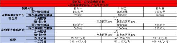 2024年最新熱門寵物保險推薦，怎么買？