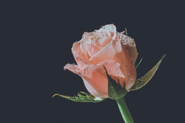 一年交1000元的養(yǎng)老保險60歲到了怎么領(lǐng)?。筐B(yǎng)老金領(lǐng)取金額怎么計算？