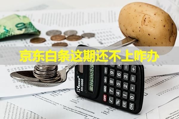 京東白條這期還不上咋辦？詳細(xì)內(nèi)容