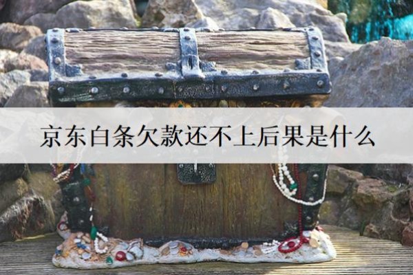 京東白條欠款還不上后果是什么？還不上怎么辦？