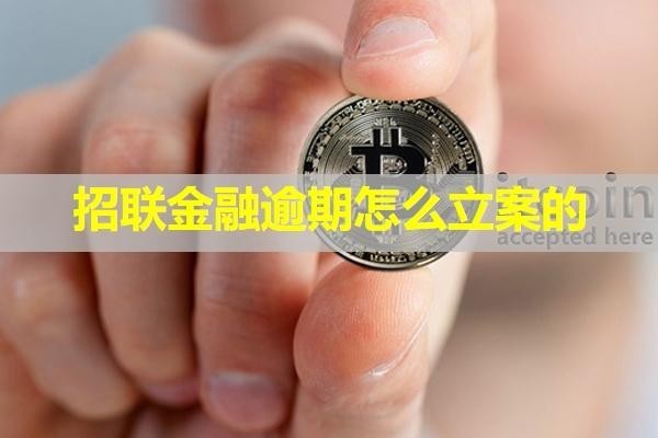 招聯(lián)金融逾期怎么立案的？看完就知道