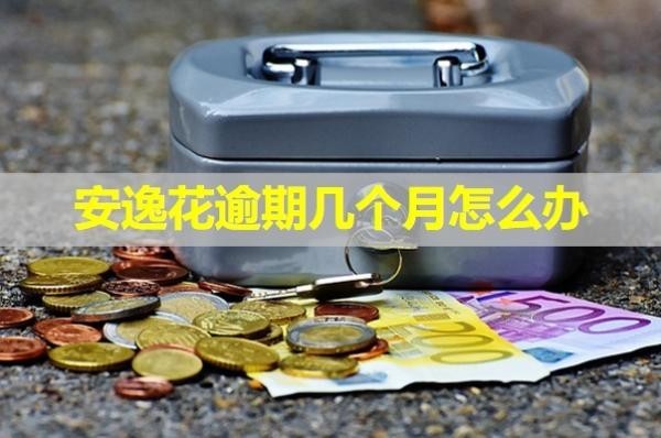 安逸花逾期幾個(gè)月怎么辦？最新