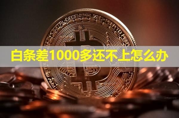 白條差1000多還不上