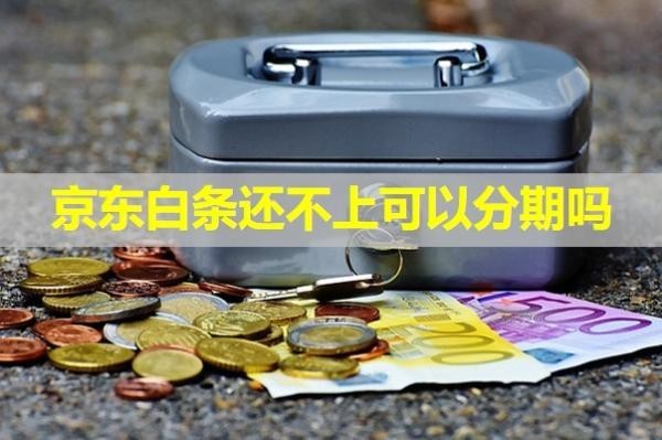 京東白條還不上可以分期嗎？大膽試試