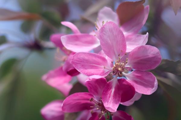 保險(xiǎn)萬能險(xiǎn)是什么意思