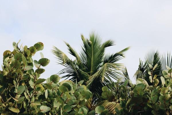 怎么查詢個(gè)人有沒(méi)有意外保險(xiǎn)？類型有哪些？