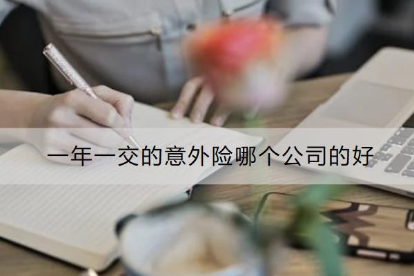 一年一交的意外險哪個公司的好？有必要買嗎？