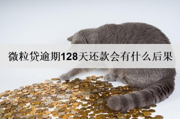 微粒貸逾期128天還款