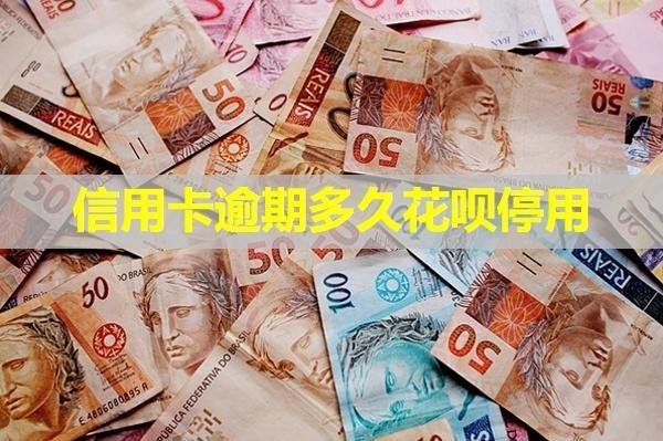 信用卡逾期多久花唄停用？揭秘
