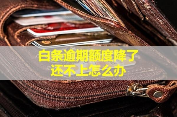 白條逾期額度降了還不上怎么辦？詳細說明