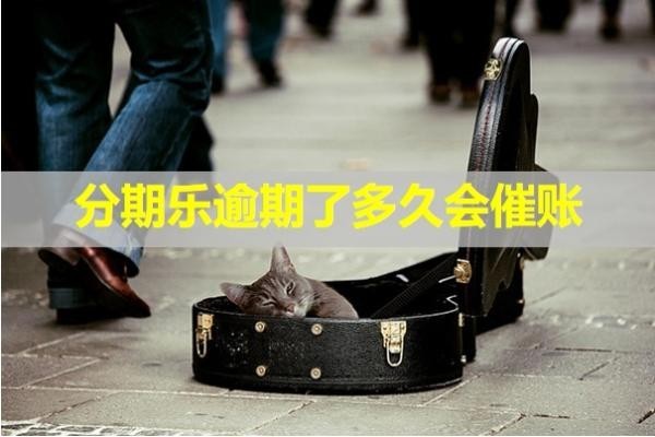 分期樂逾期了多久會催賬？詳細(xì)說明