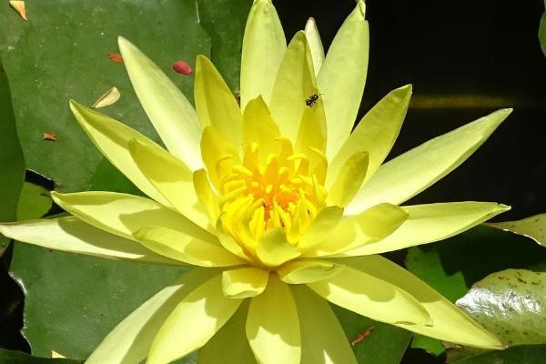 中國人壽保險可以退保嗎？退保要注意什么?。?/>
                                            </div>
                                        </a>
                                        <div   id=