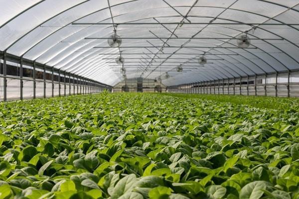 建筑意外傷害保險由誰買啊？是強制險嗎？