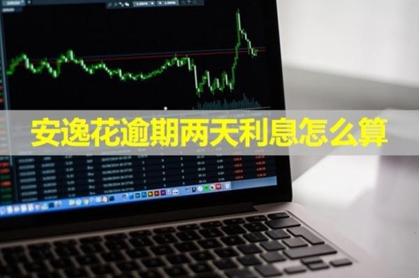 安逸花逾期兩天利息怎么算？詳細(xì)說(shuō)明